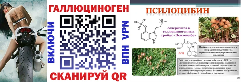 купить закладку  Хадыженск  Галлюциногенные грибы Psilocybine cubensis 